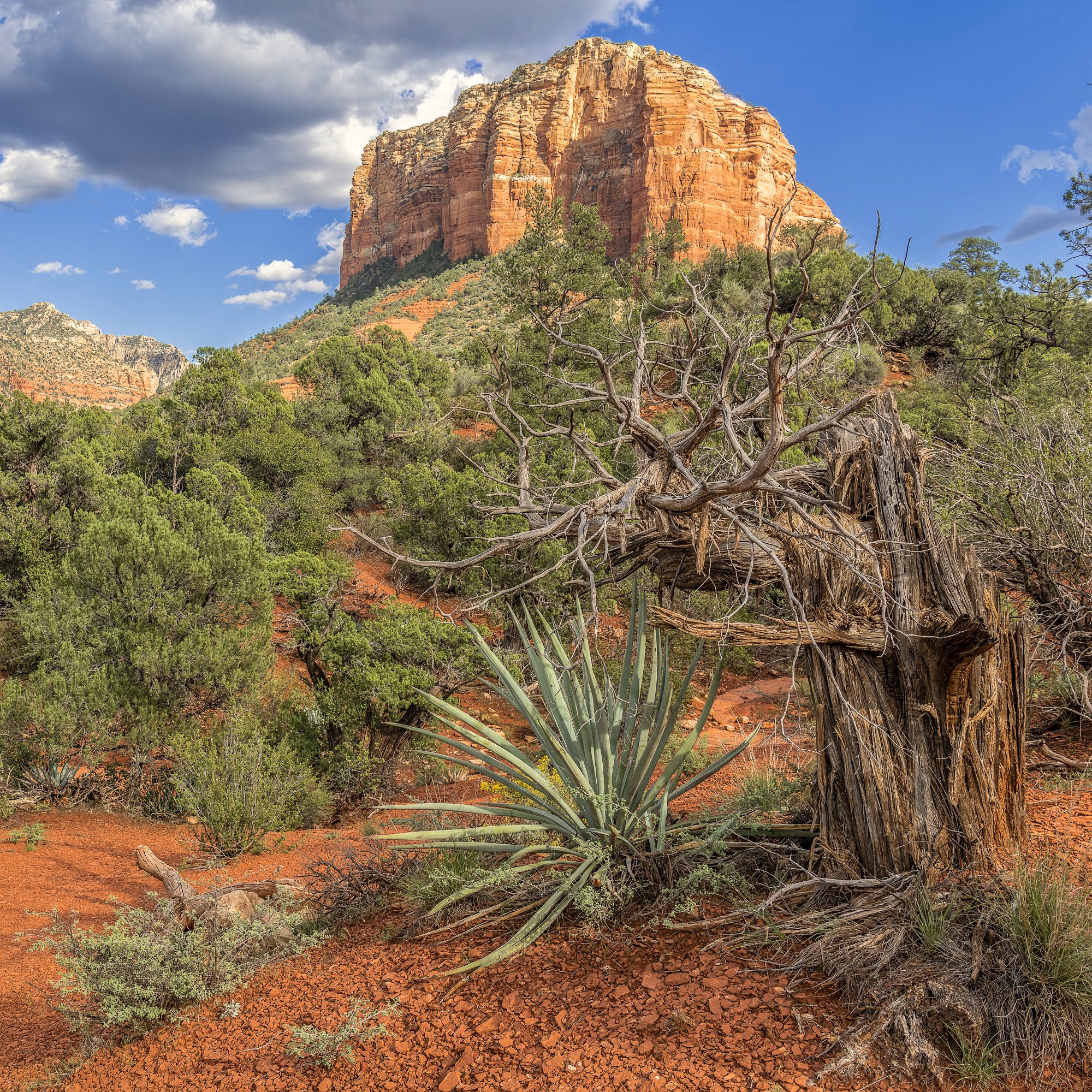 Courthouse Butte