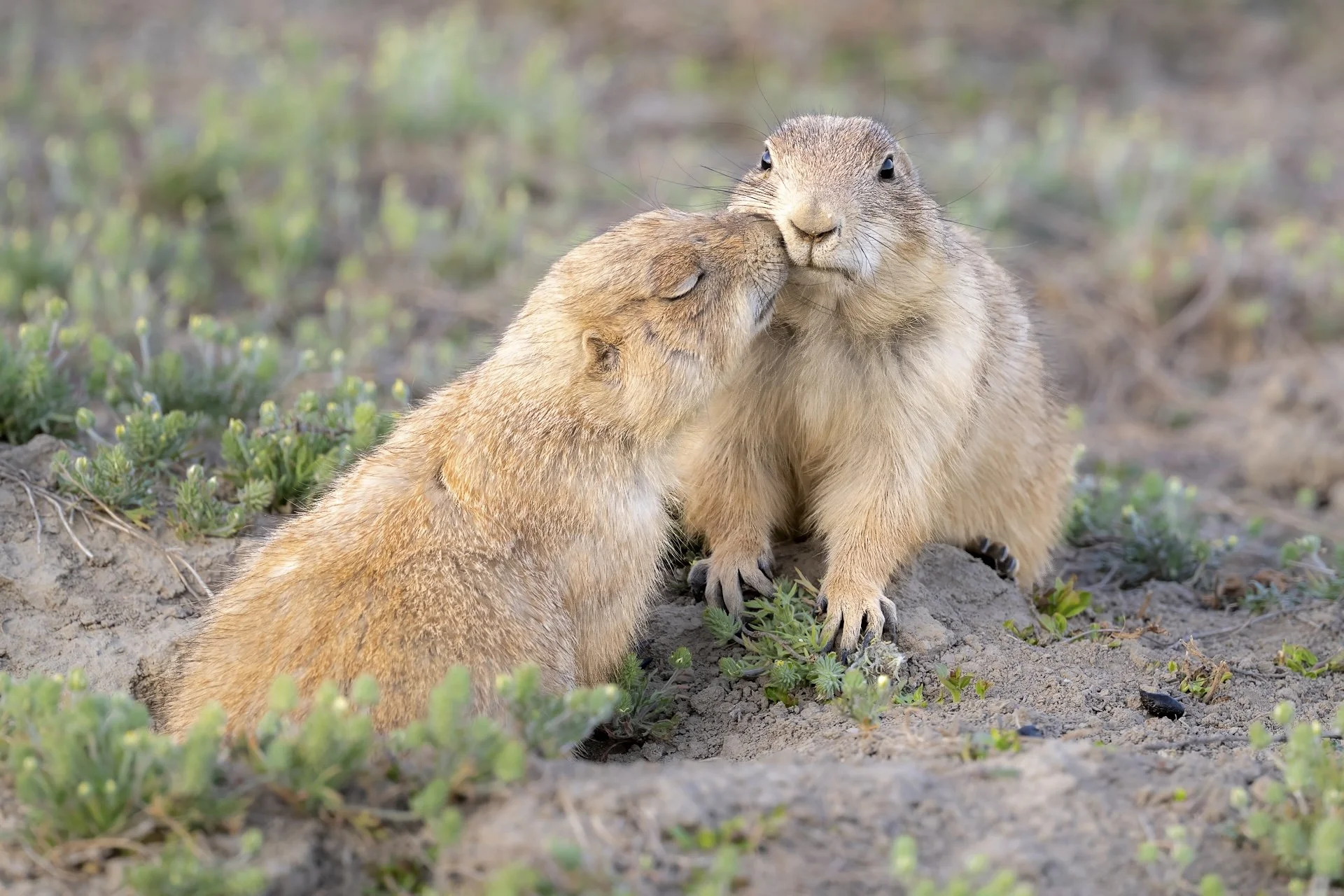 I love you too.