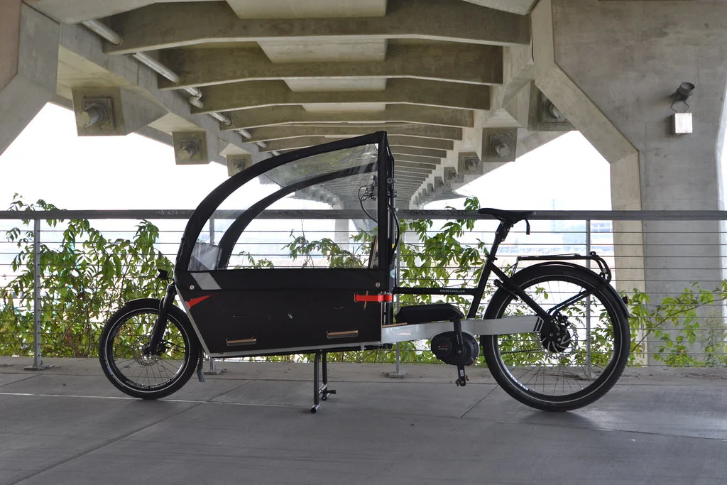 Riese and Müller Packster Canopy — BLAQPAKS