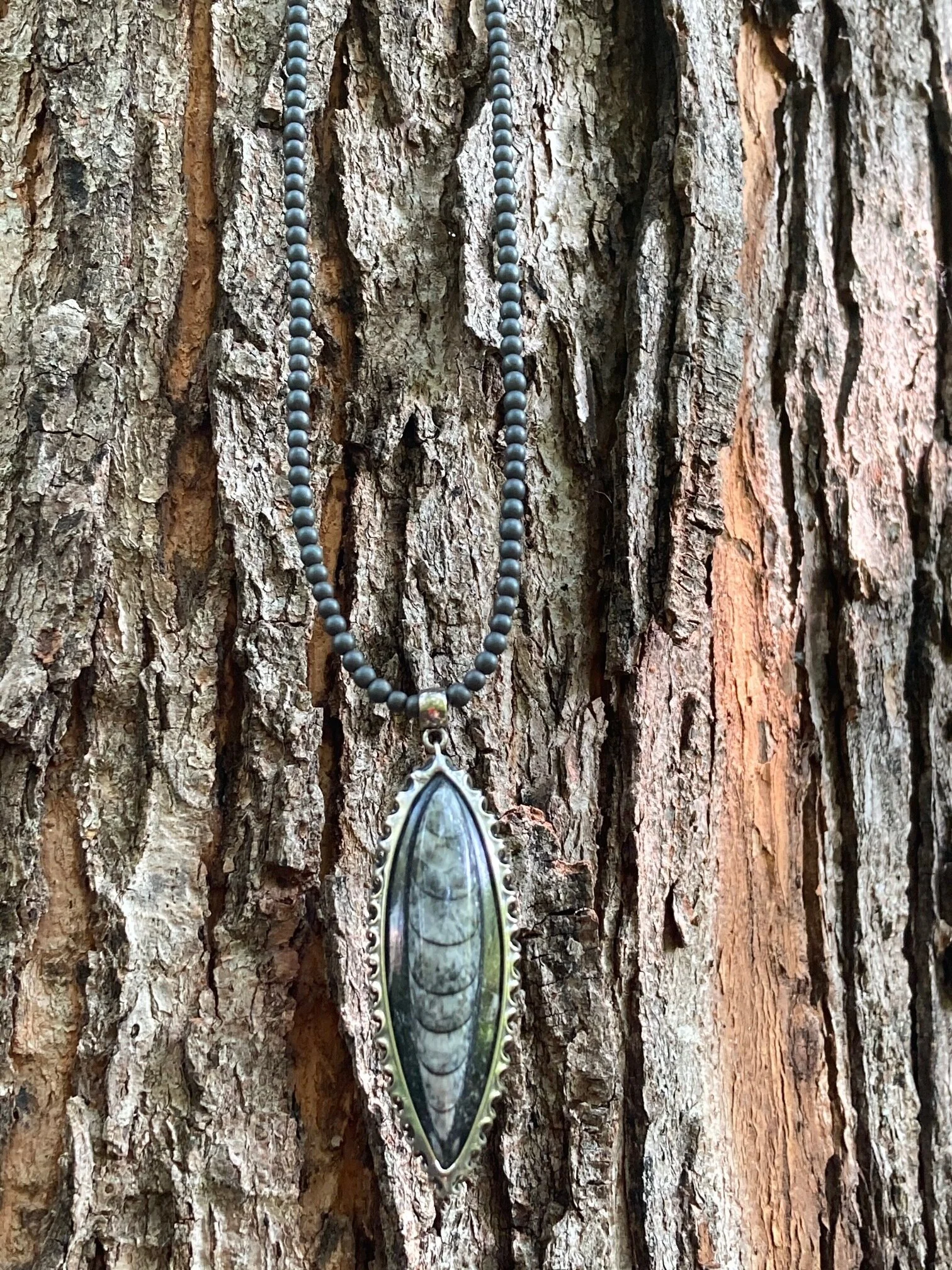 Orthocerase Fish Fossil Necklace.jpeg