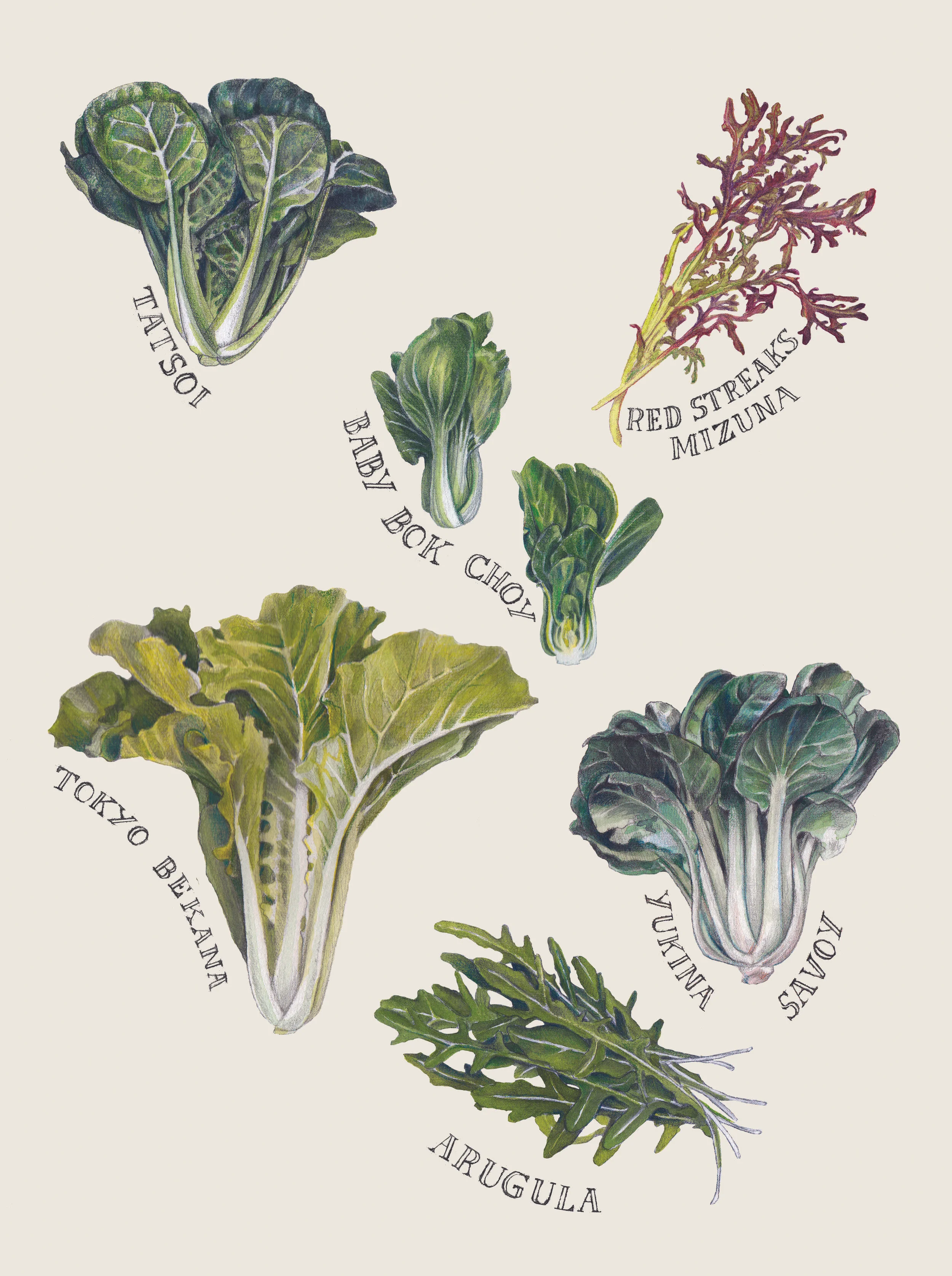 Hudson Valley Seed Library