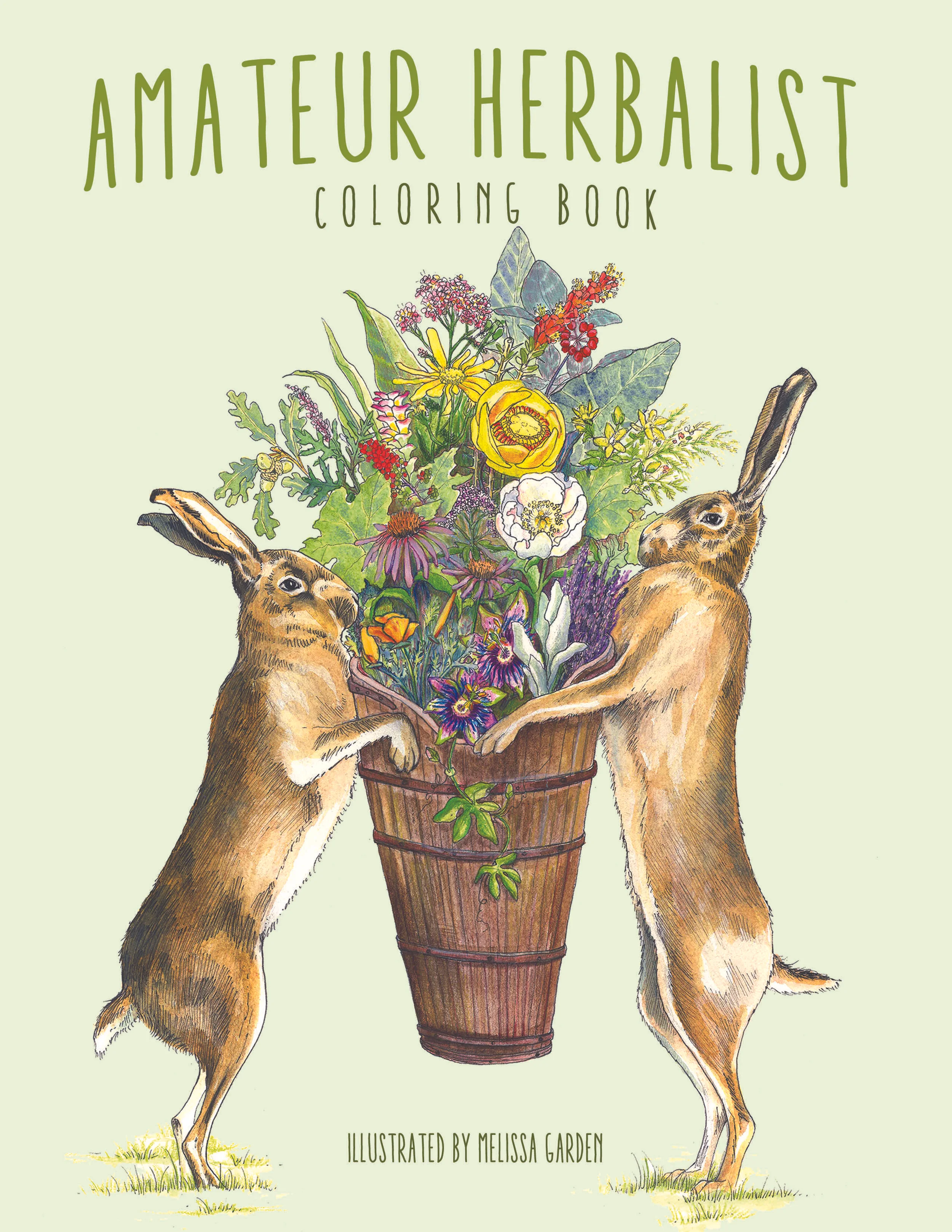 Amateur Herbalist Coloring Book | Self Published Project