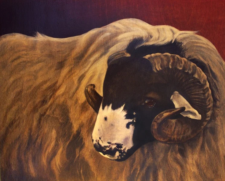Rough Fell Ram.jpg
