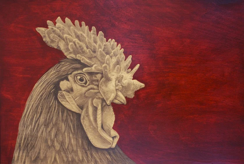 Derbyshire Redcap Chicken.jpg