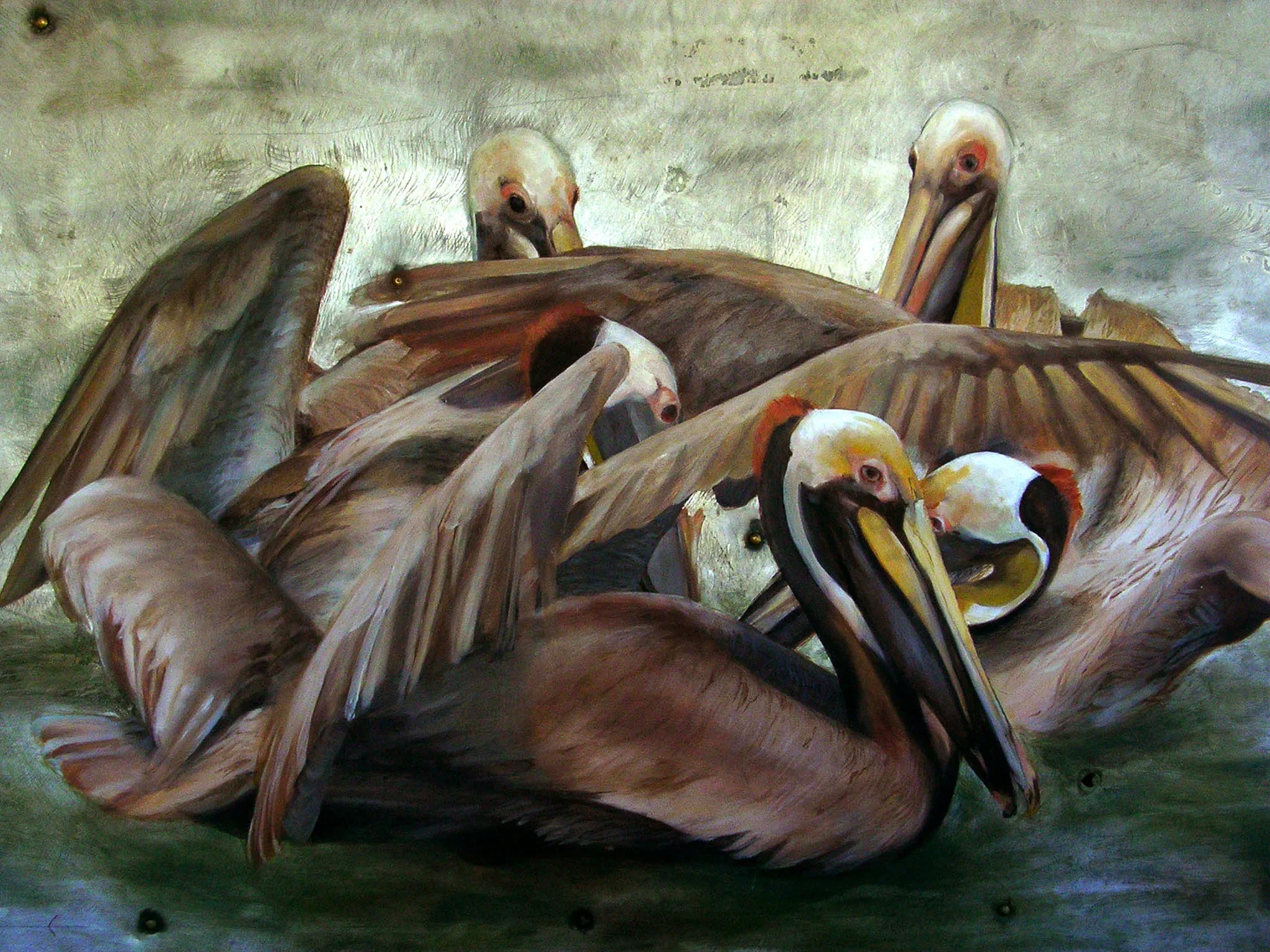 Brown Pelican | Oil on Metal