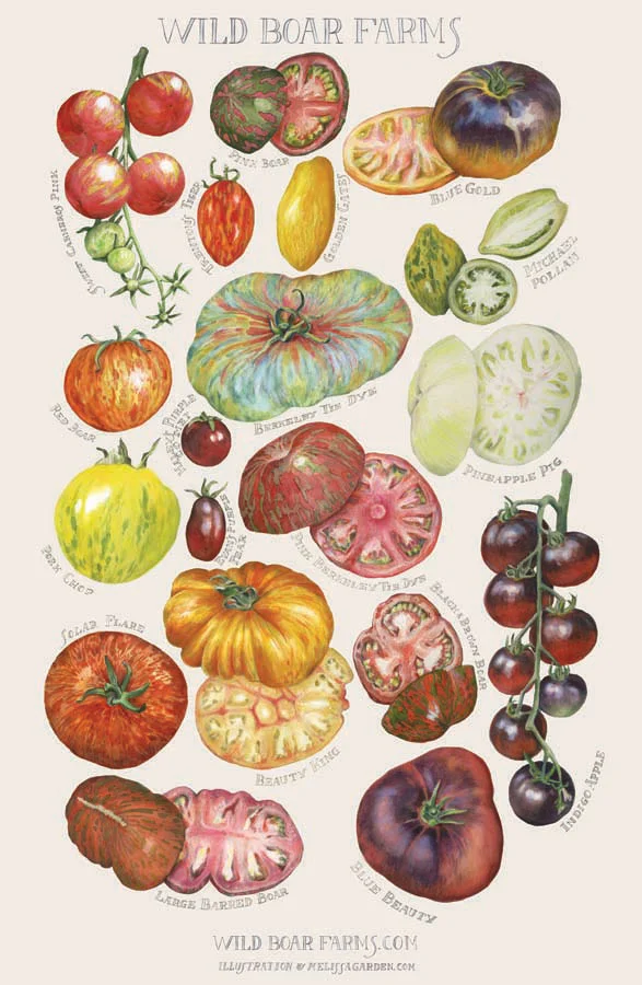 Wild Boar Farms Heirloom Tomatoes