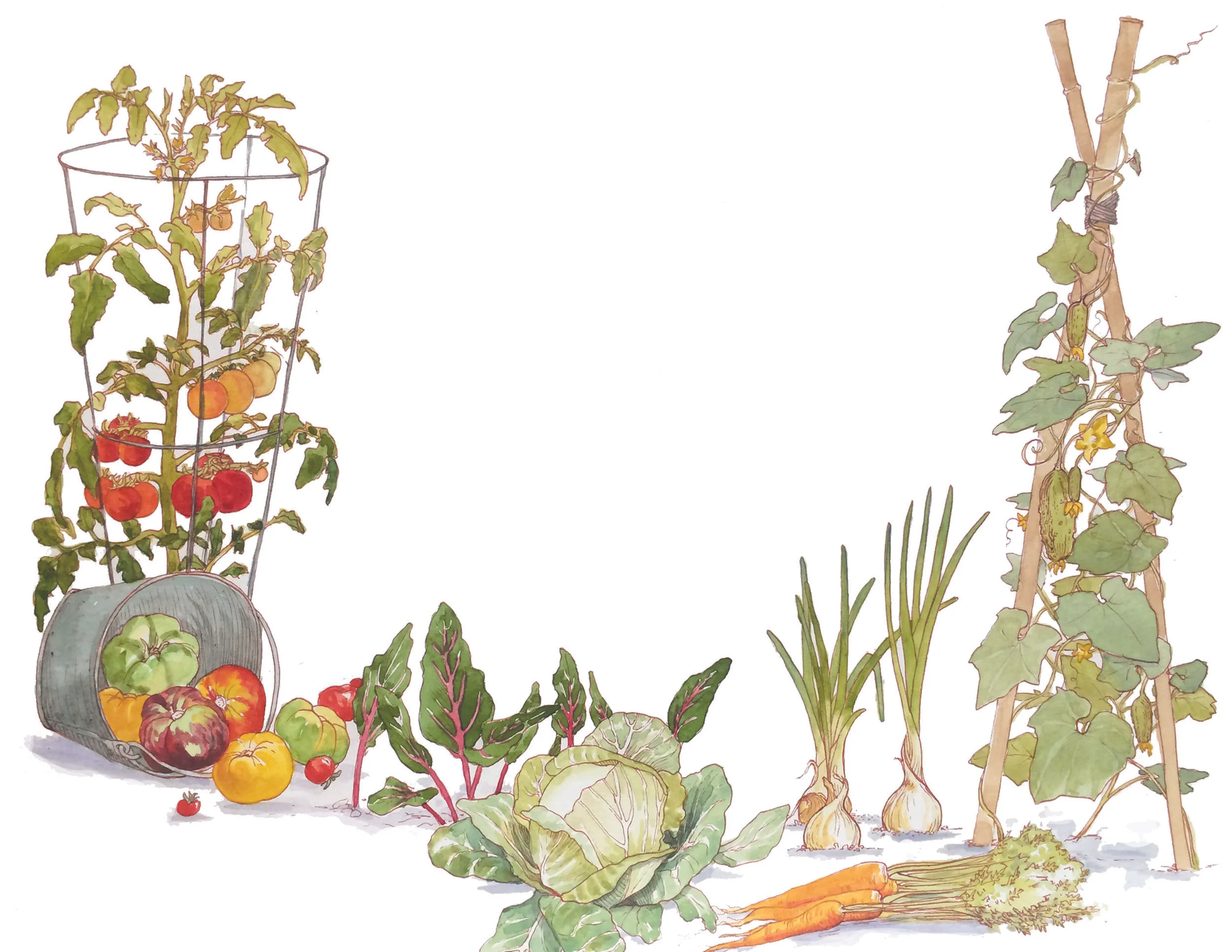 Oakland Community Gardens