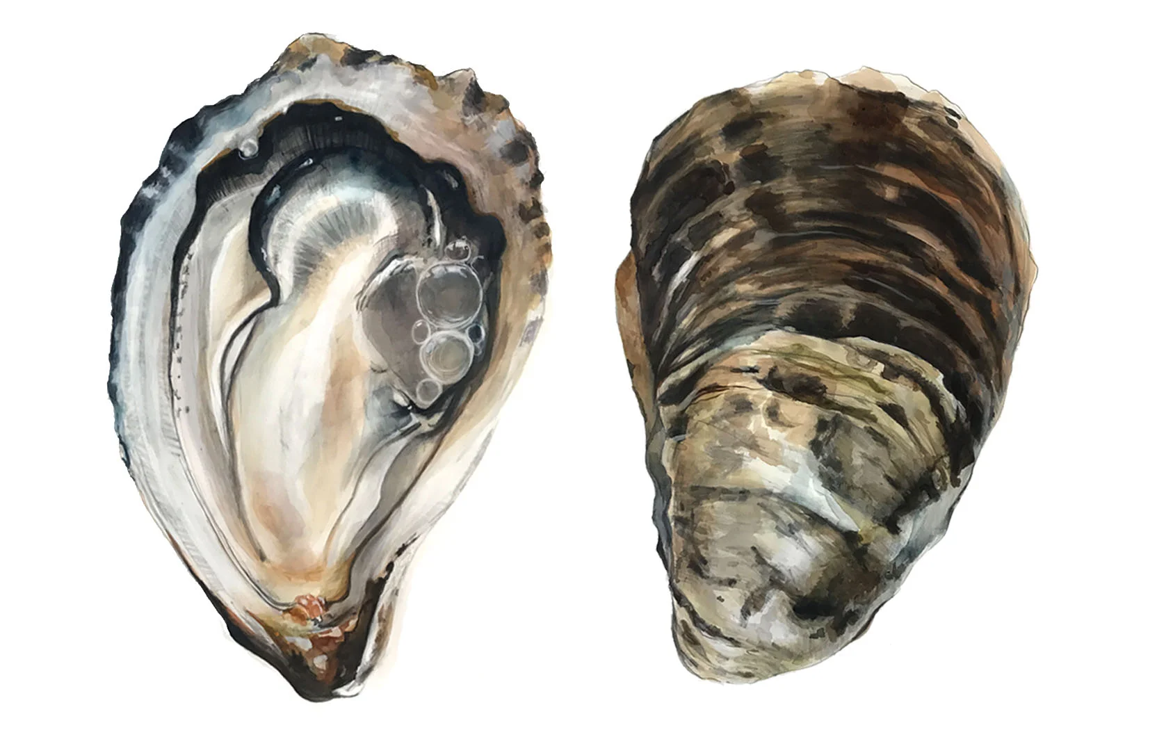 Self Promotional | Oysters