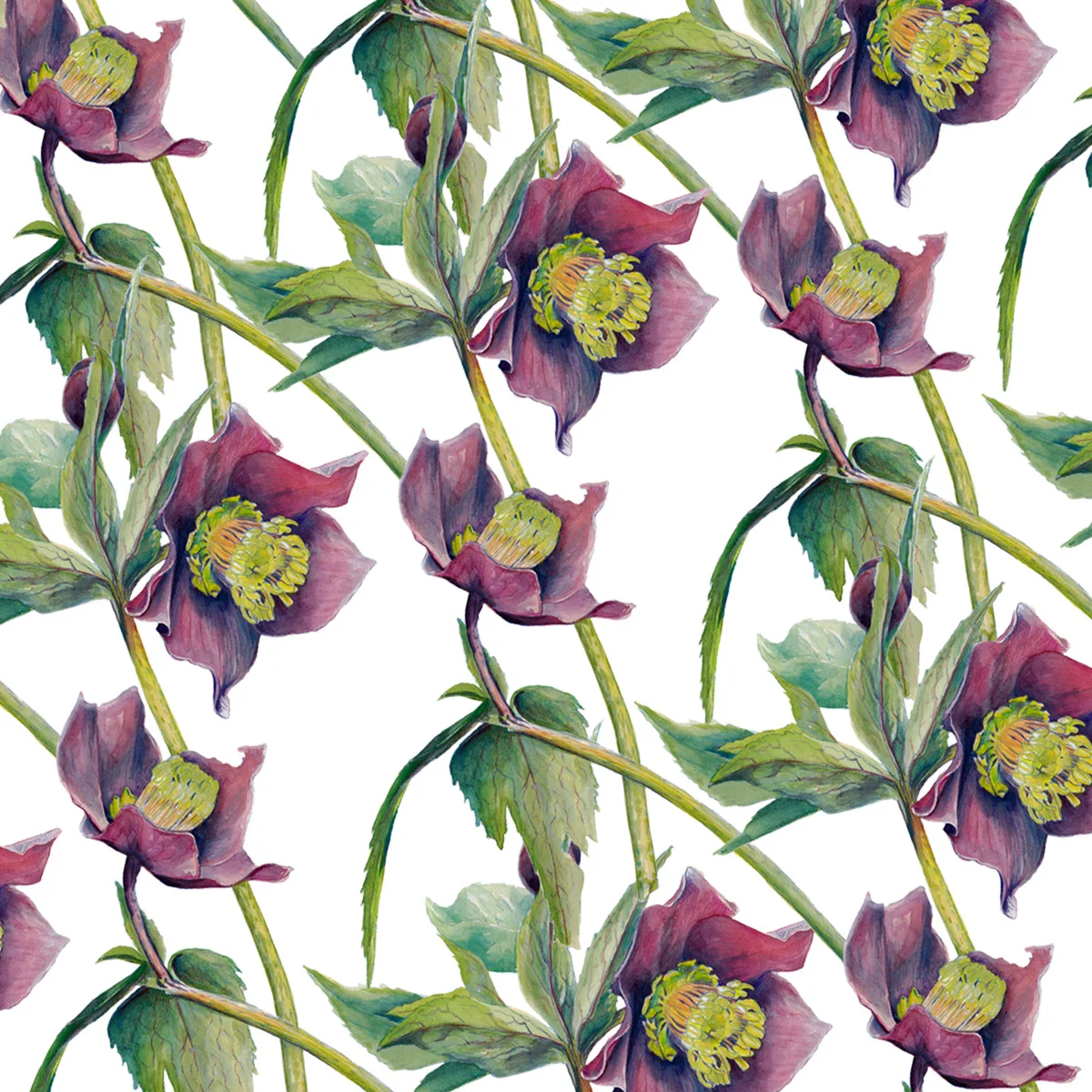 helleborepattern.jpg