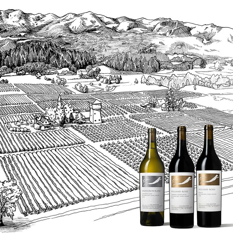 Illustrated label work I did for Frogsleap winery to describe their wine growing appellations. Hire an illustrator to capture things a photograph doesn’t do justice to and create visual interest. In the era of AI, differentiate with hand drawn,