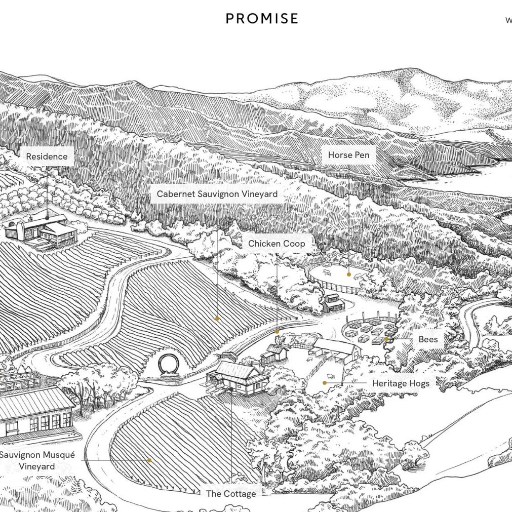 Illustrated maps can be a great way to describe and invite clients into your story. This piece, hand drawn for @promisewine was created after a visit to the vineyards. It gave the client a way to encapsulate the space and it's hope's for the future i