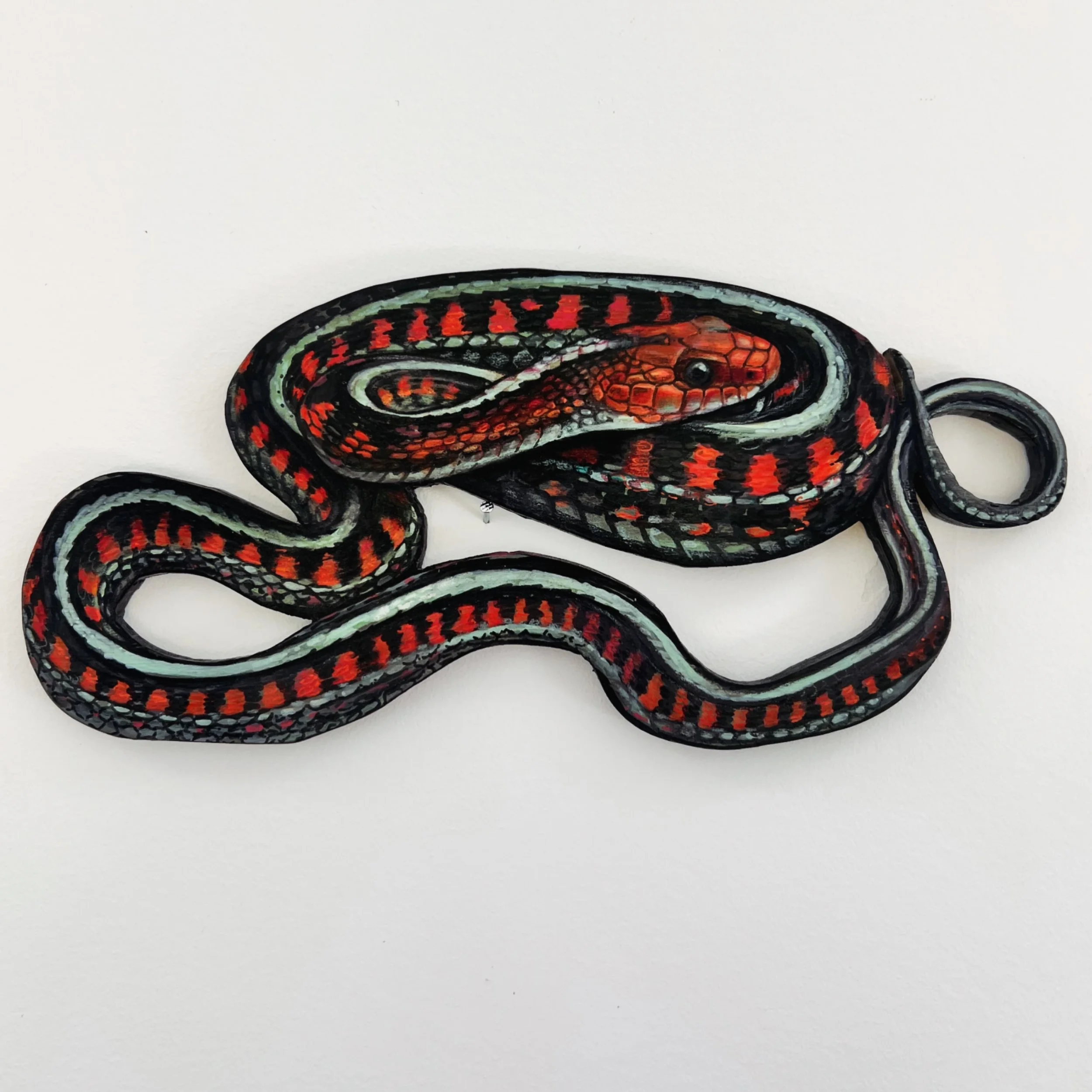 Look at this Bay Area beauty. Acrylic painting on wood of California red-sided Garter Snake [Thamnophis sirtalis] inspired by the herp photography of @zacharge 

According to Zach, this coloration with the heightened blue is found here in the Bay Are