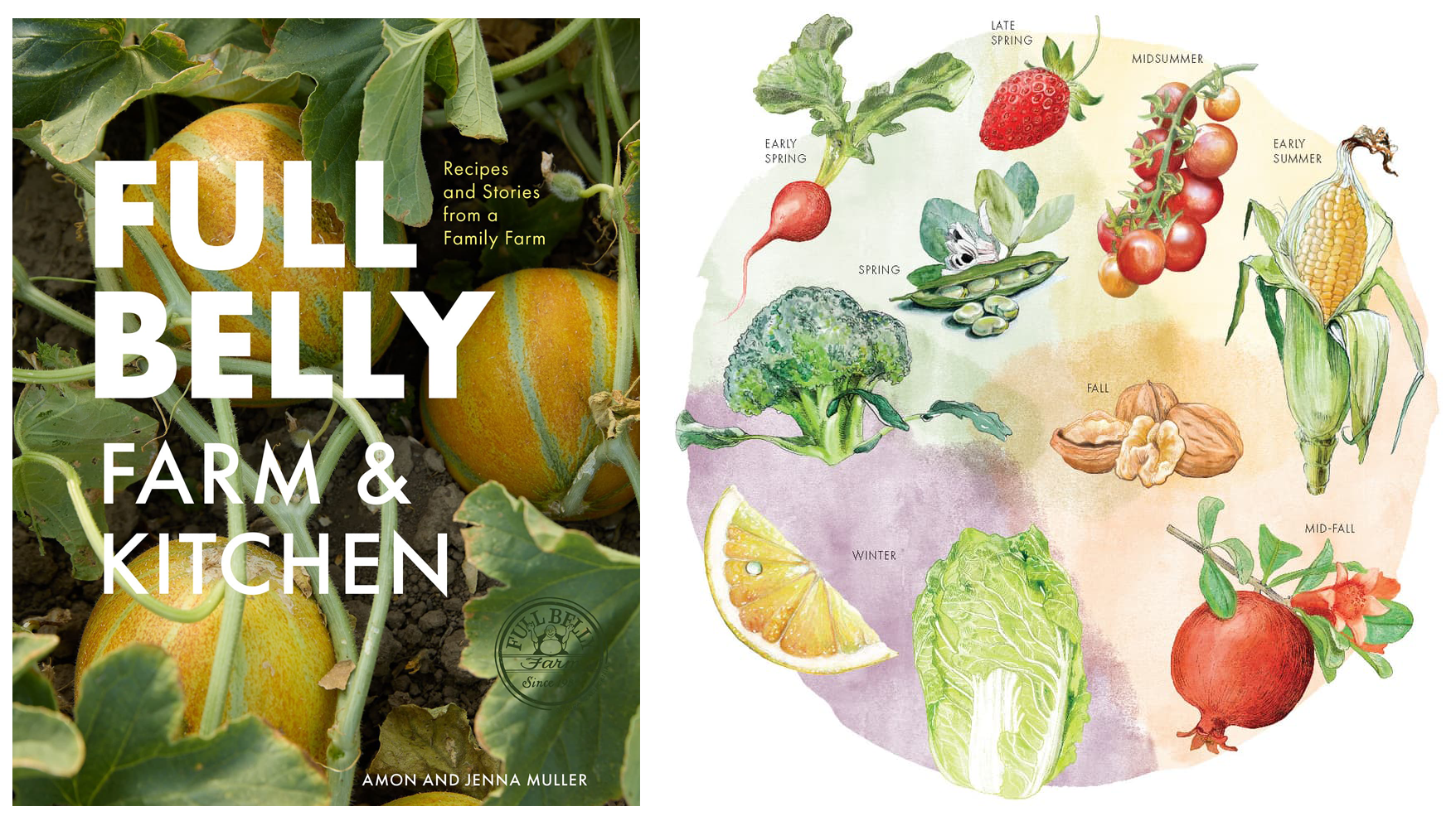Full Belly Farm & Kitchen | Cookbook Illustration