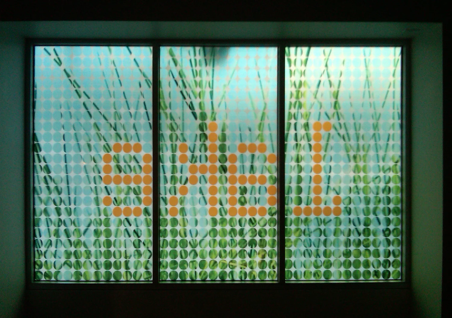 IMG04634-20101222-1343_web.jpg