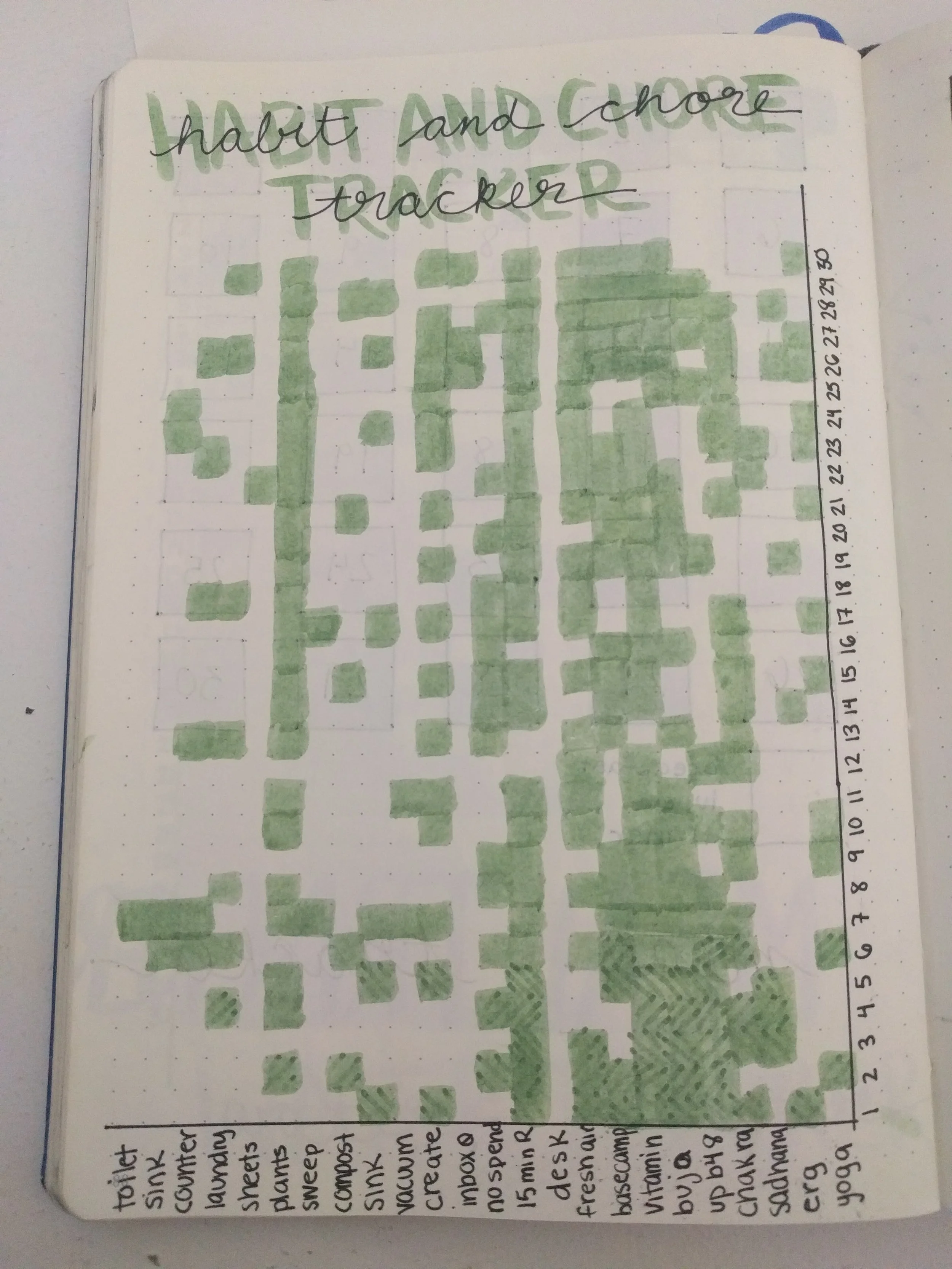 This mega tracker combines my habits and a cleaning chart, but ended up being too small to be practical. 