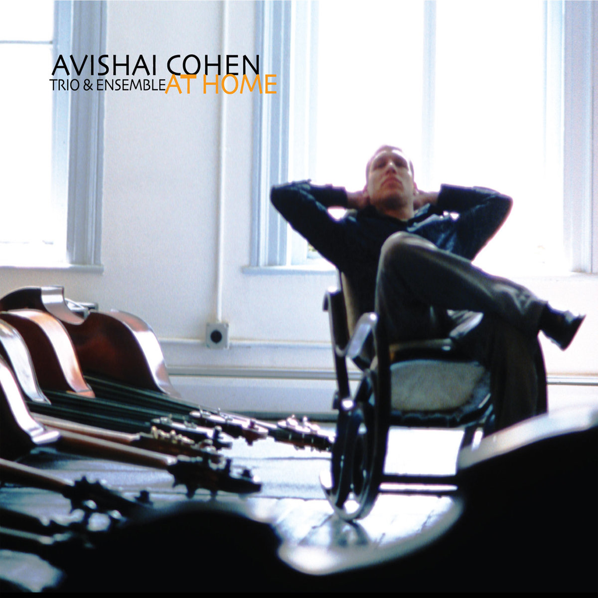 AVISHAI COHEN | AT HOME