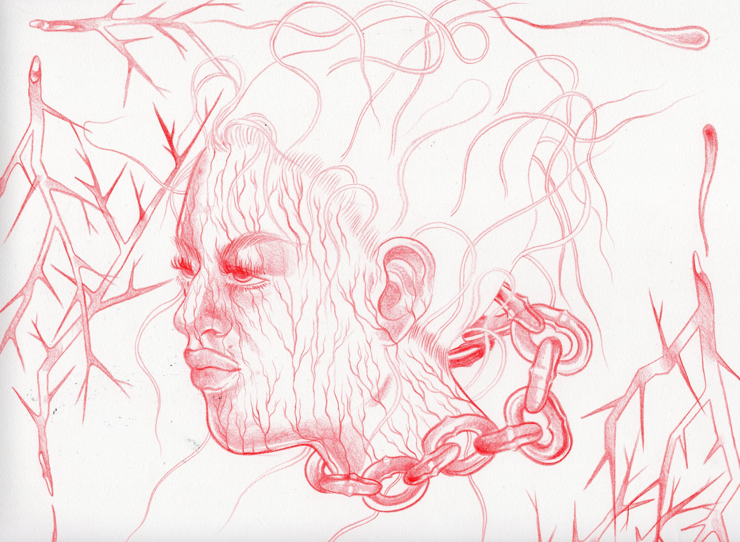  Progresso color pencil on paper.  