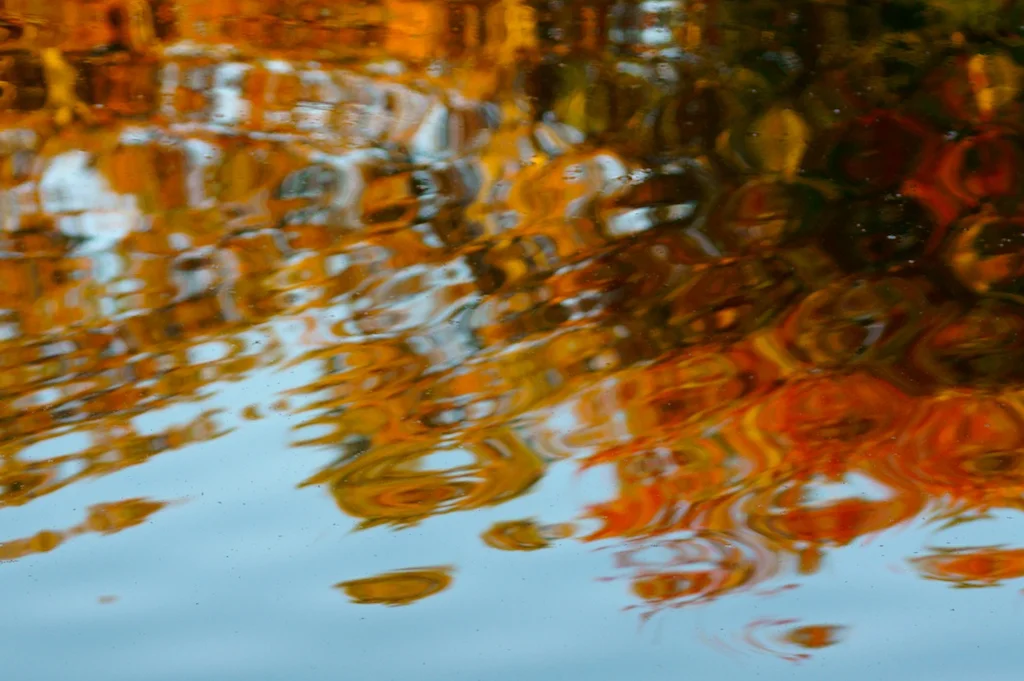 Thanksgiving Family Meal