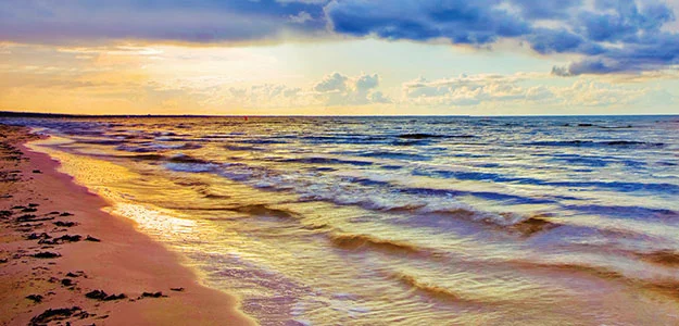 Women's Book/Bible Study