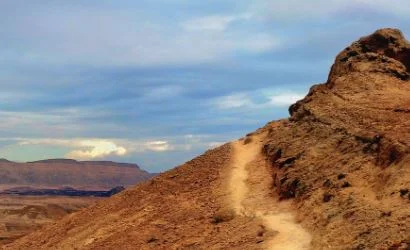 Lenten Soup and Study