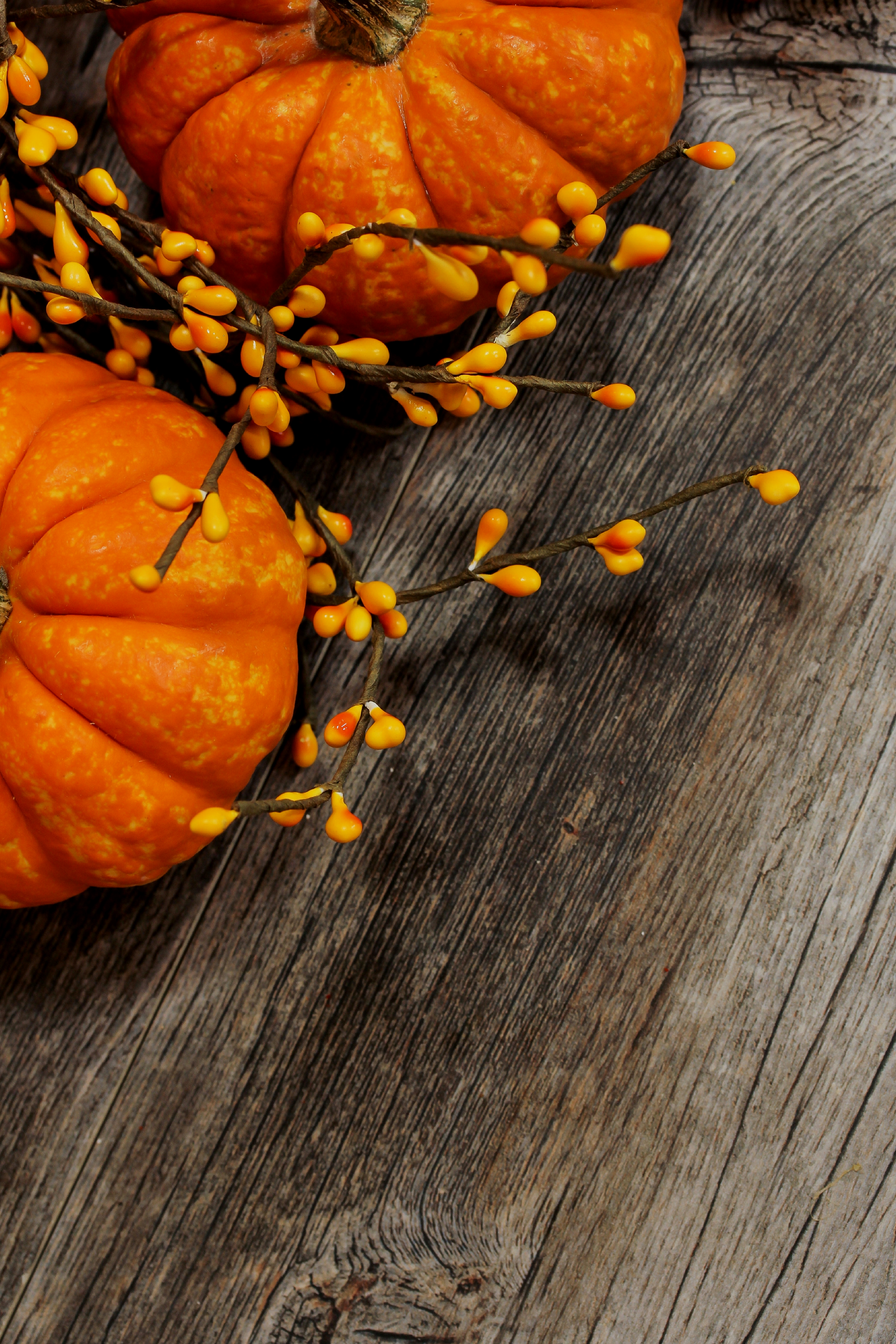 Fall Family Fun Night