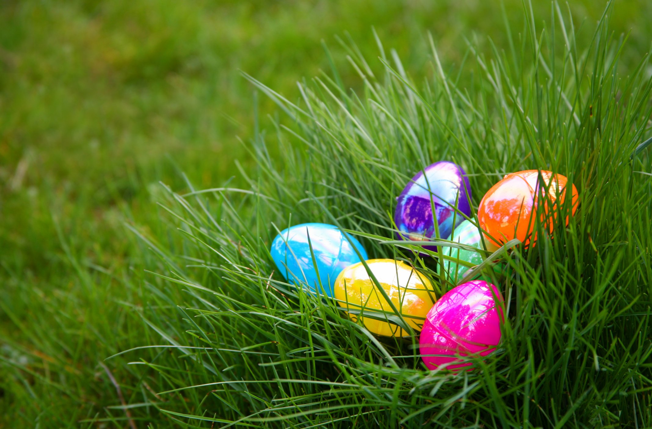 Easter Egg Hunt