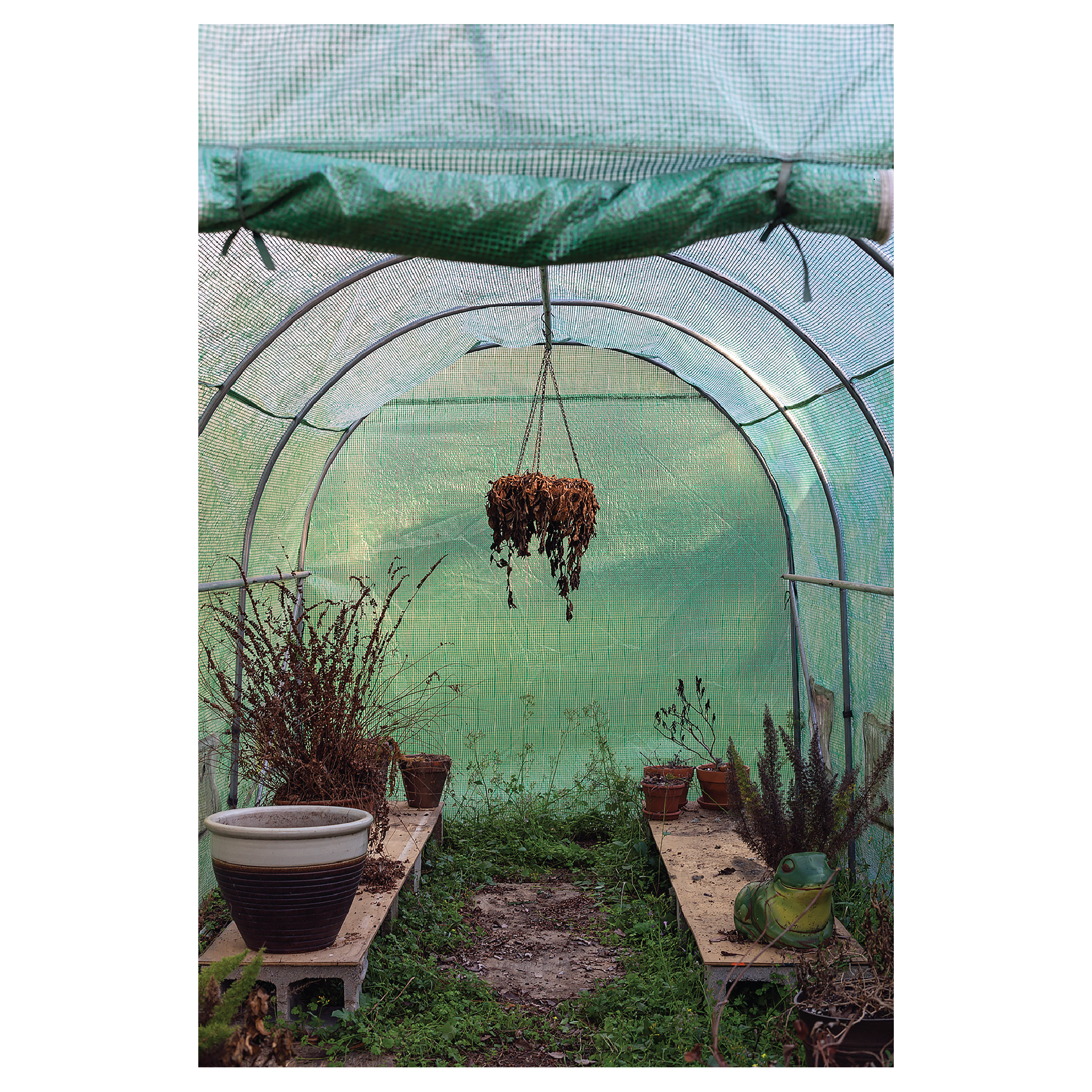 Greenhouse.png