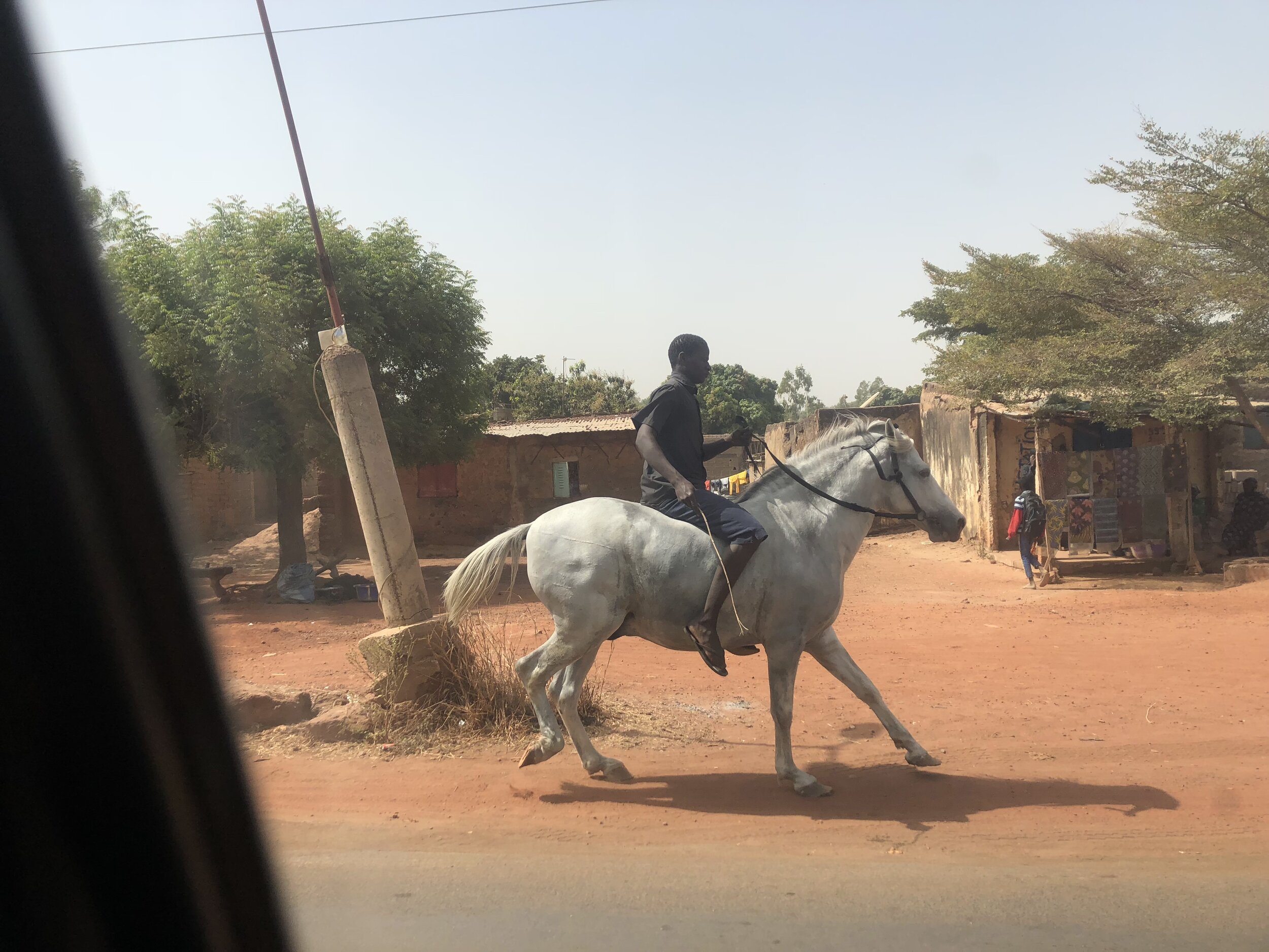 Seen along the road on the long drive to Bamako and the airport.