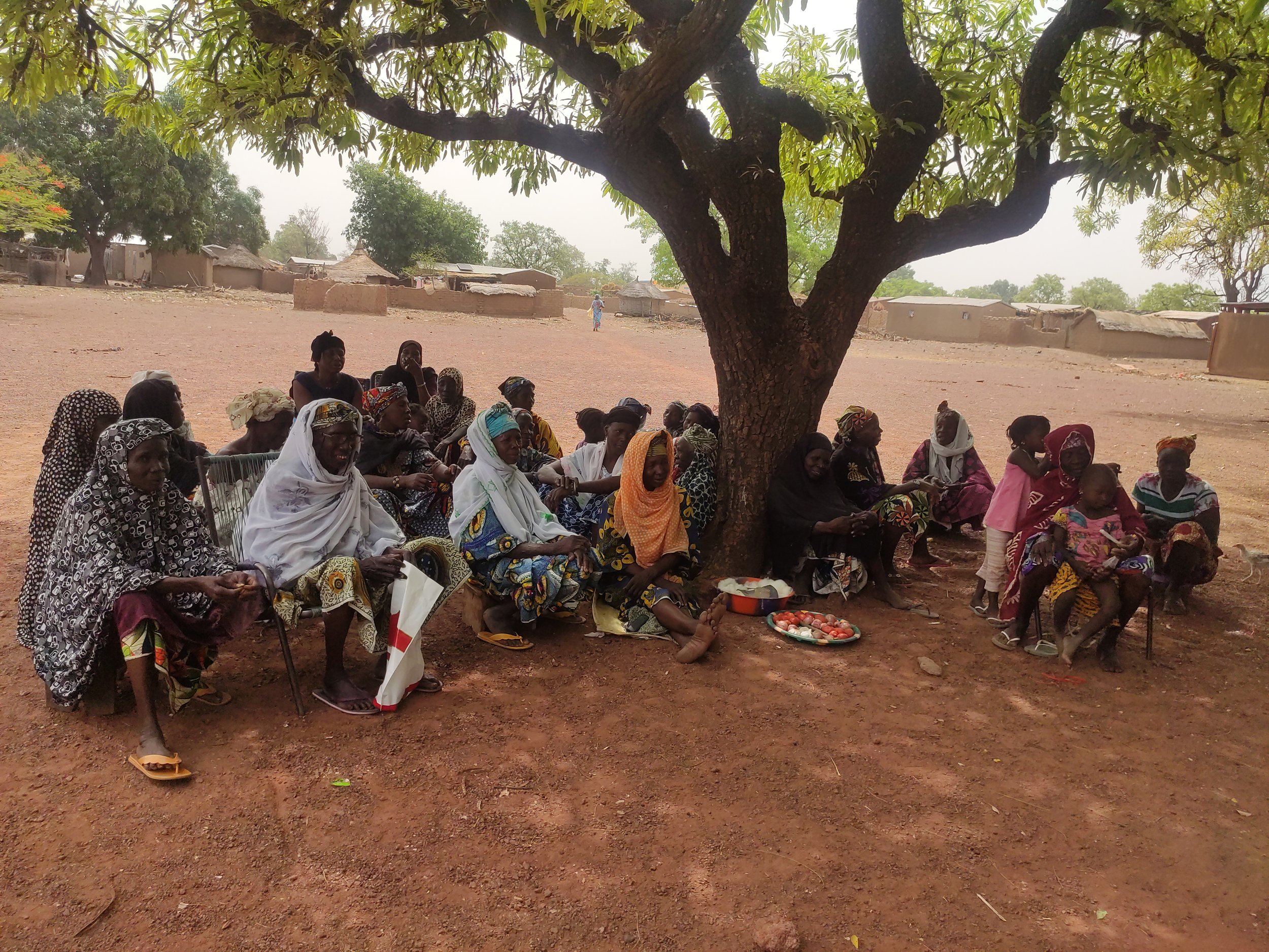 The Beneko Mothers' Loan Fund meets under the schoolyard trees.