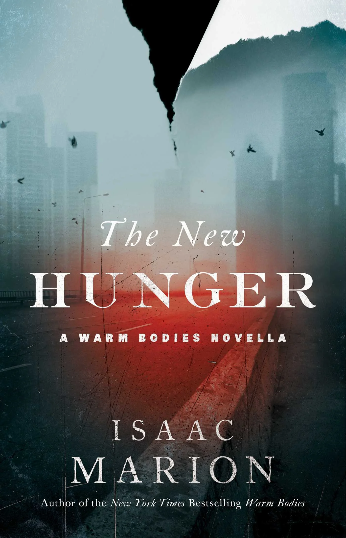 The New Hunger The Burning World A Warm Bodies Novel