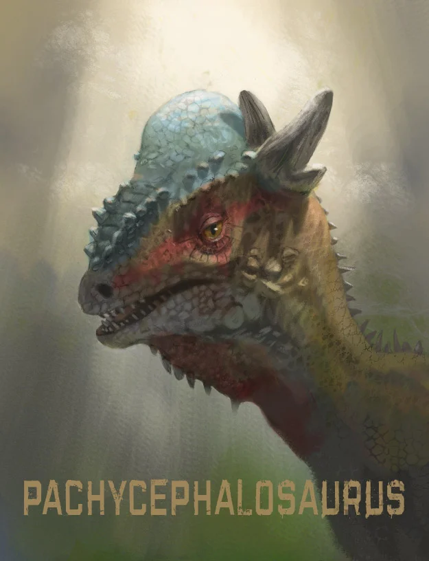 Pachycephalosaurus.jpg