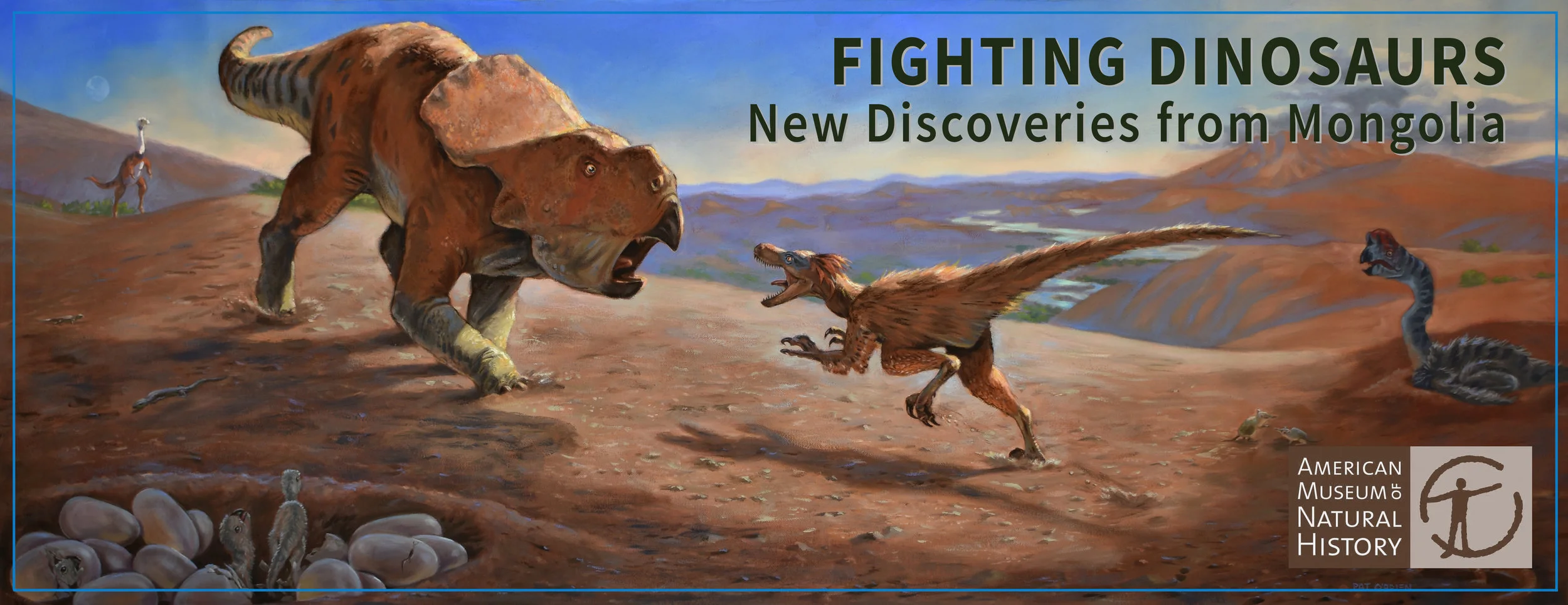 Fighting Dinosaurs