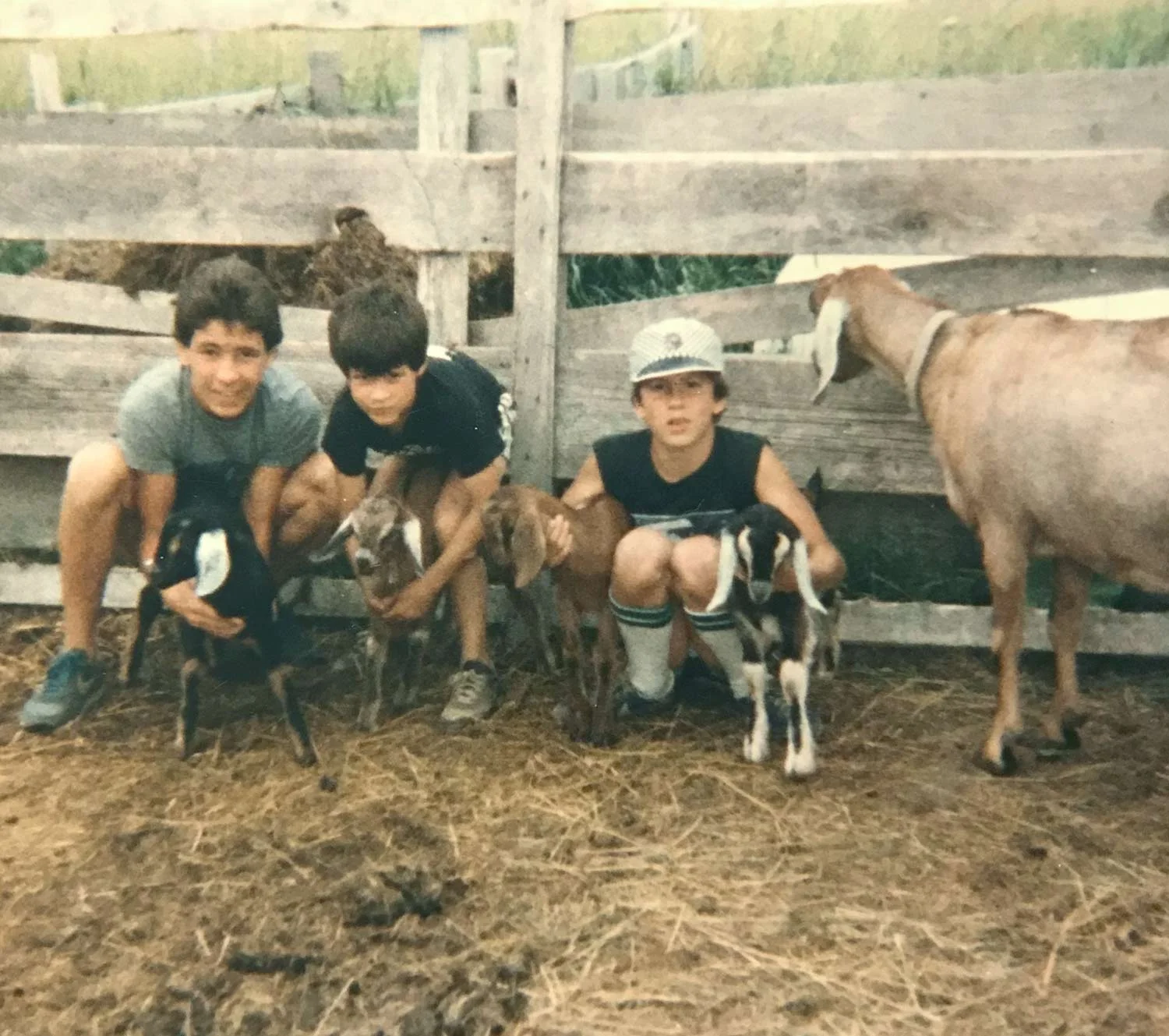 Goat-farm-Northern-Michigan-Jeremy-Frechette.jpg