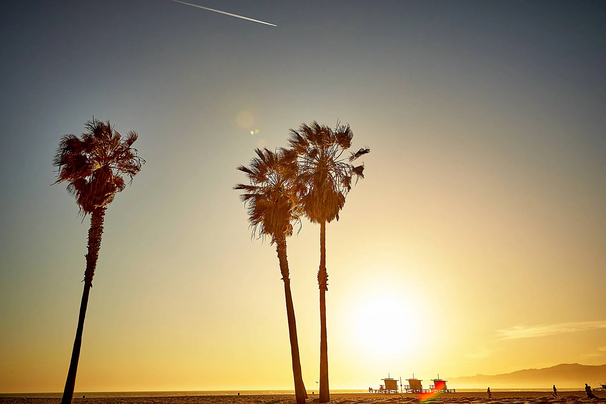 16-04-23-Venice-Beach_134.jpg