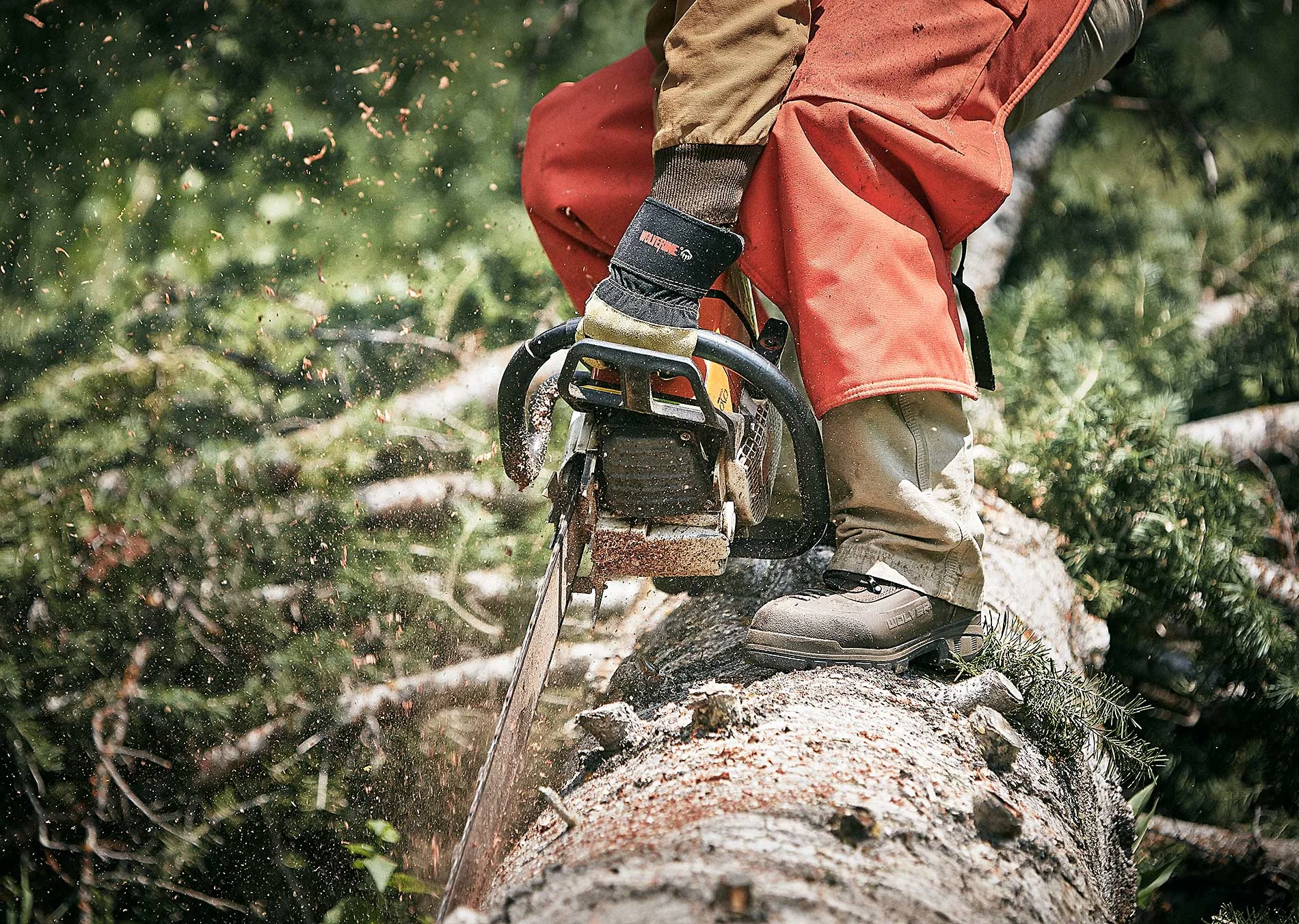 Jeremy-frechette-wolverine-boots-chainsaw_WL.jpg