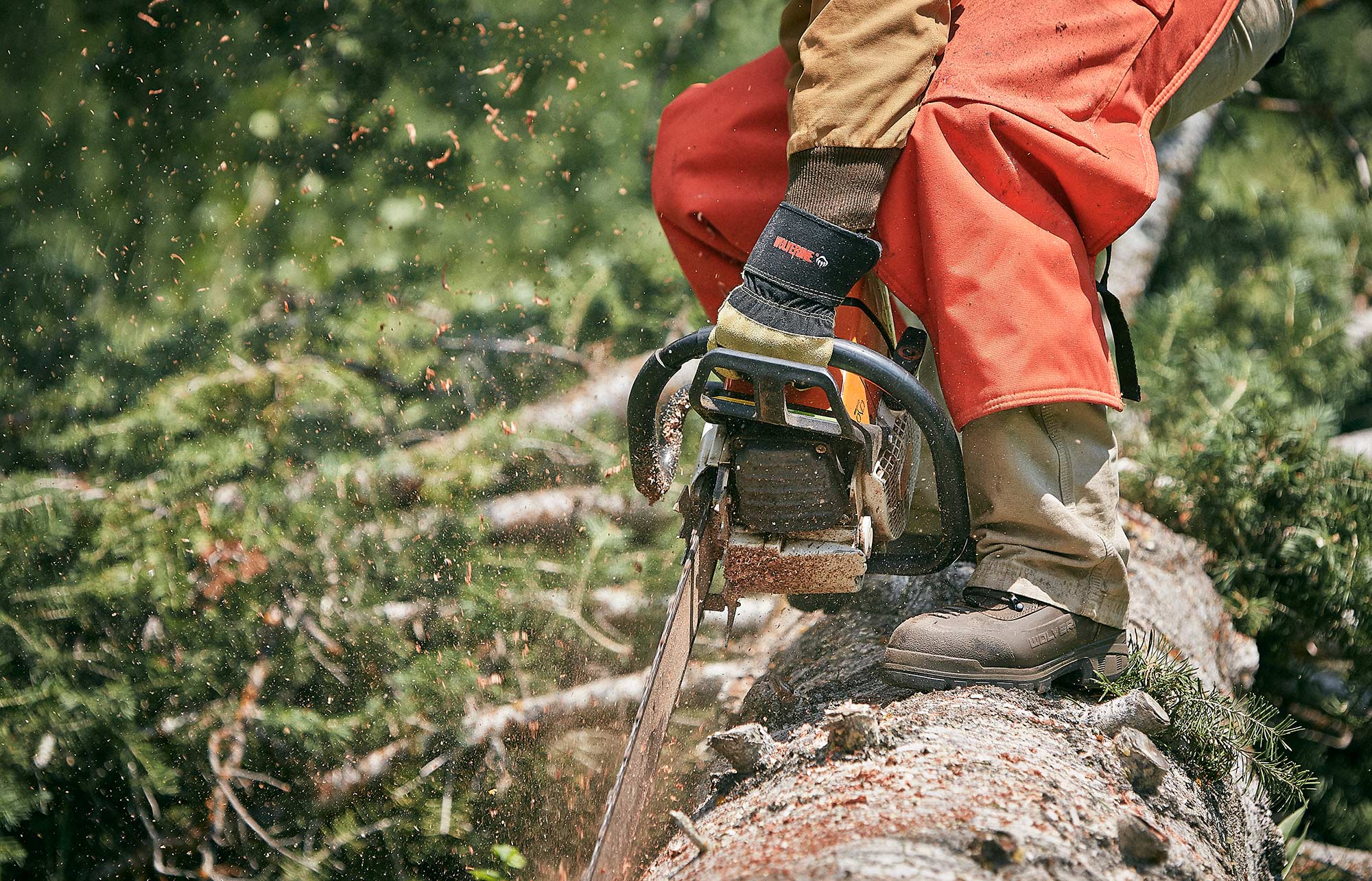 wolverine-Utah-Forestry-chain-saw-jeremy-frechette_HP.jpg