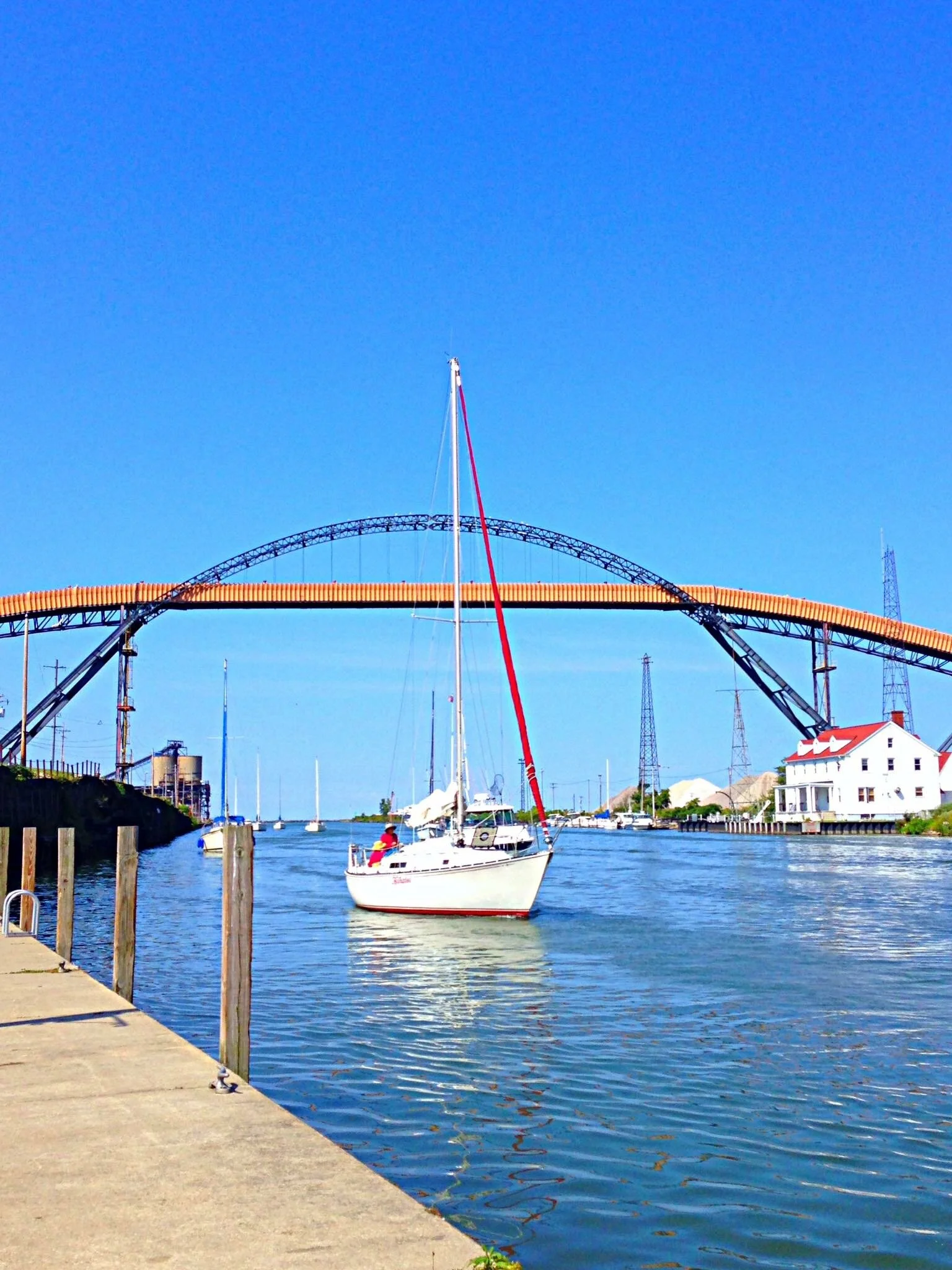 IMG-2993.JPG