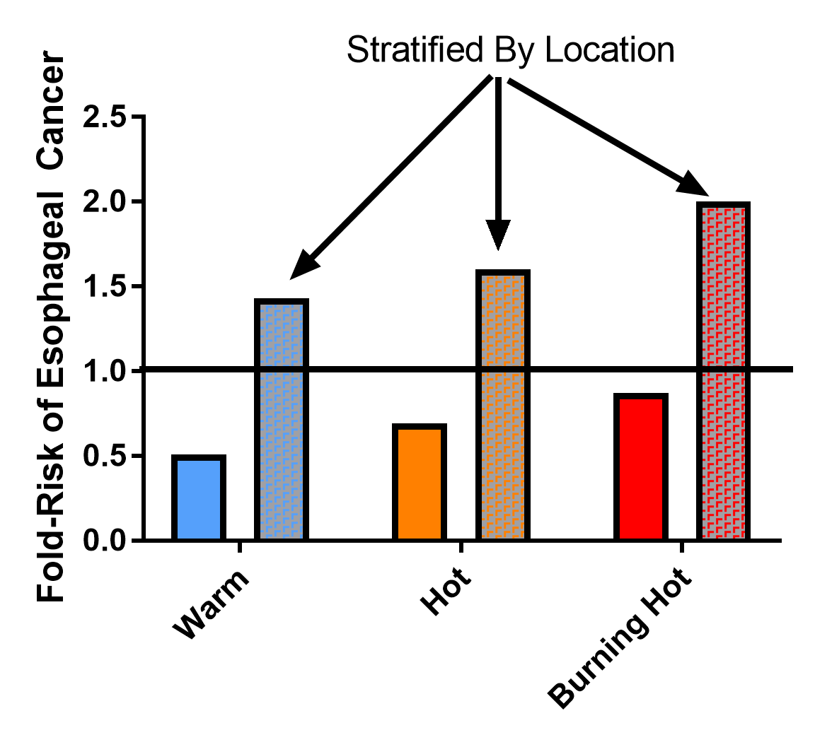 Data 3.png
