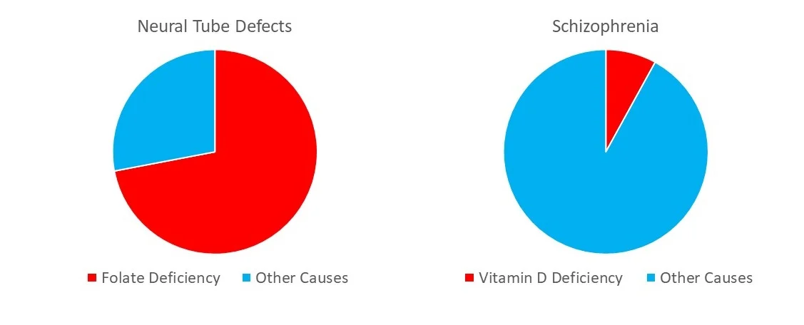 Most neural tube defects are due to folate deficiency. Not so for Vitamin D and schizophrenia.