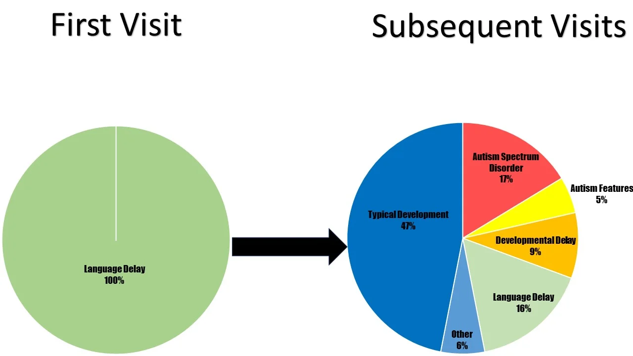 Stability of Language Delay Diagnosis