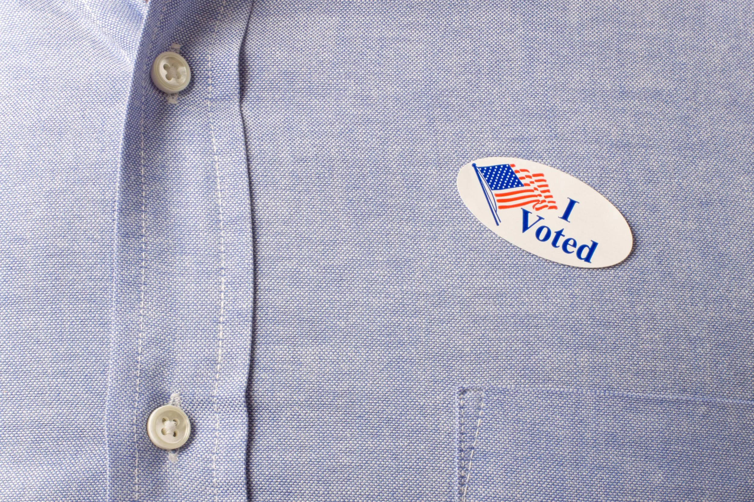 Insert obligatory "I Voted" selfie here...