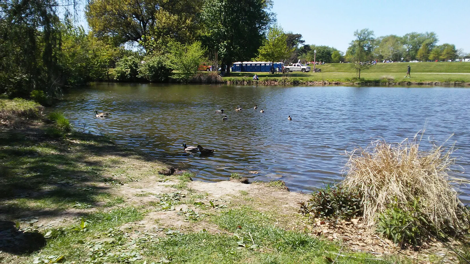Lake-1.jpg