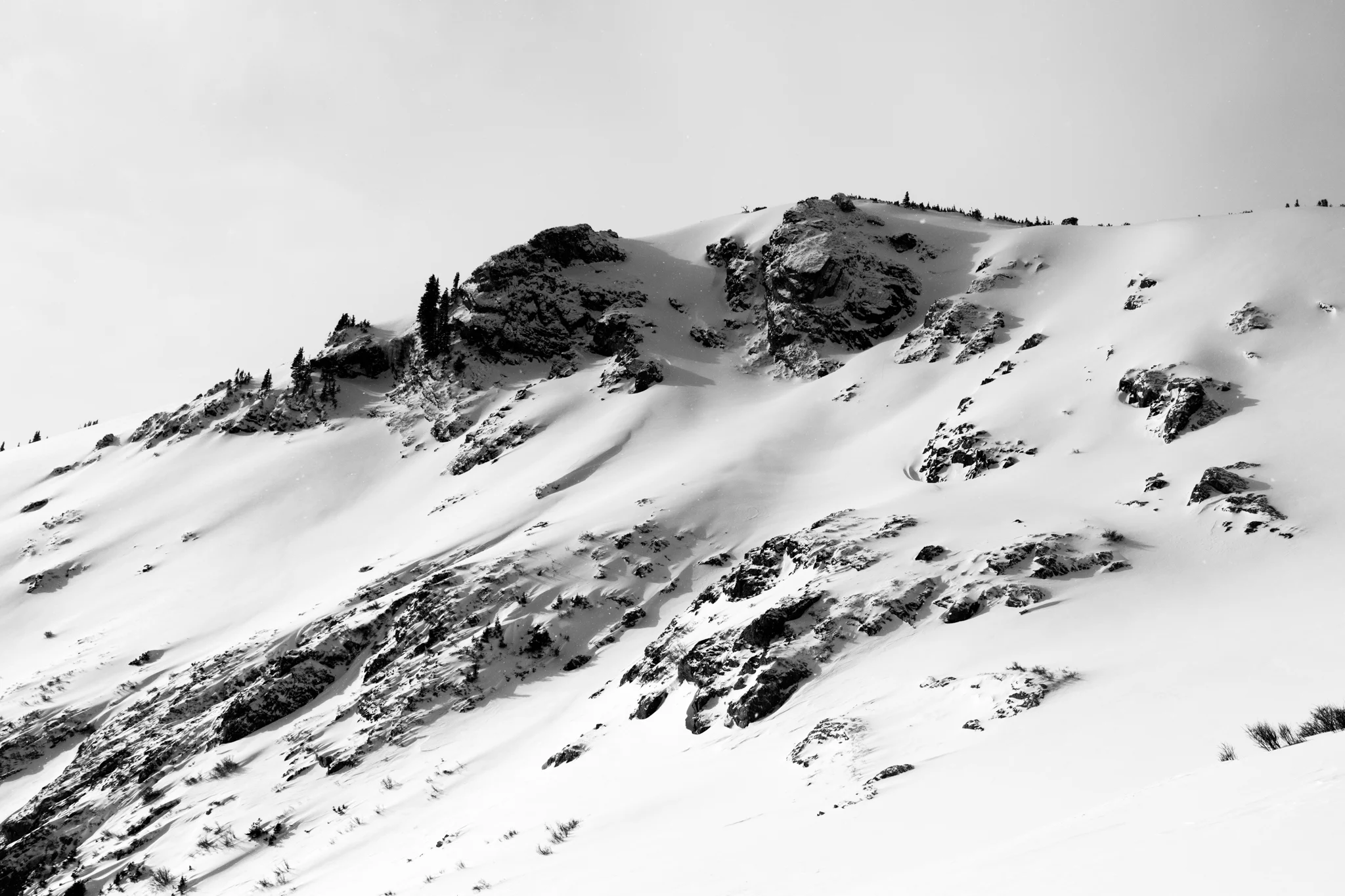DSC_7136.jpg