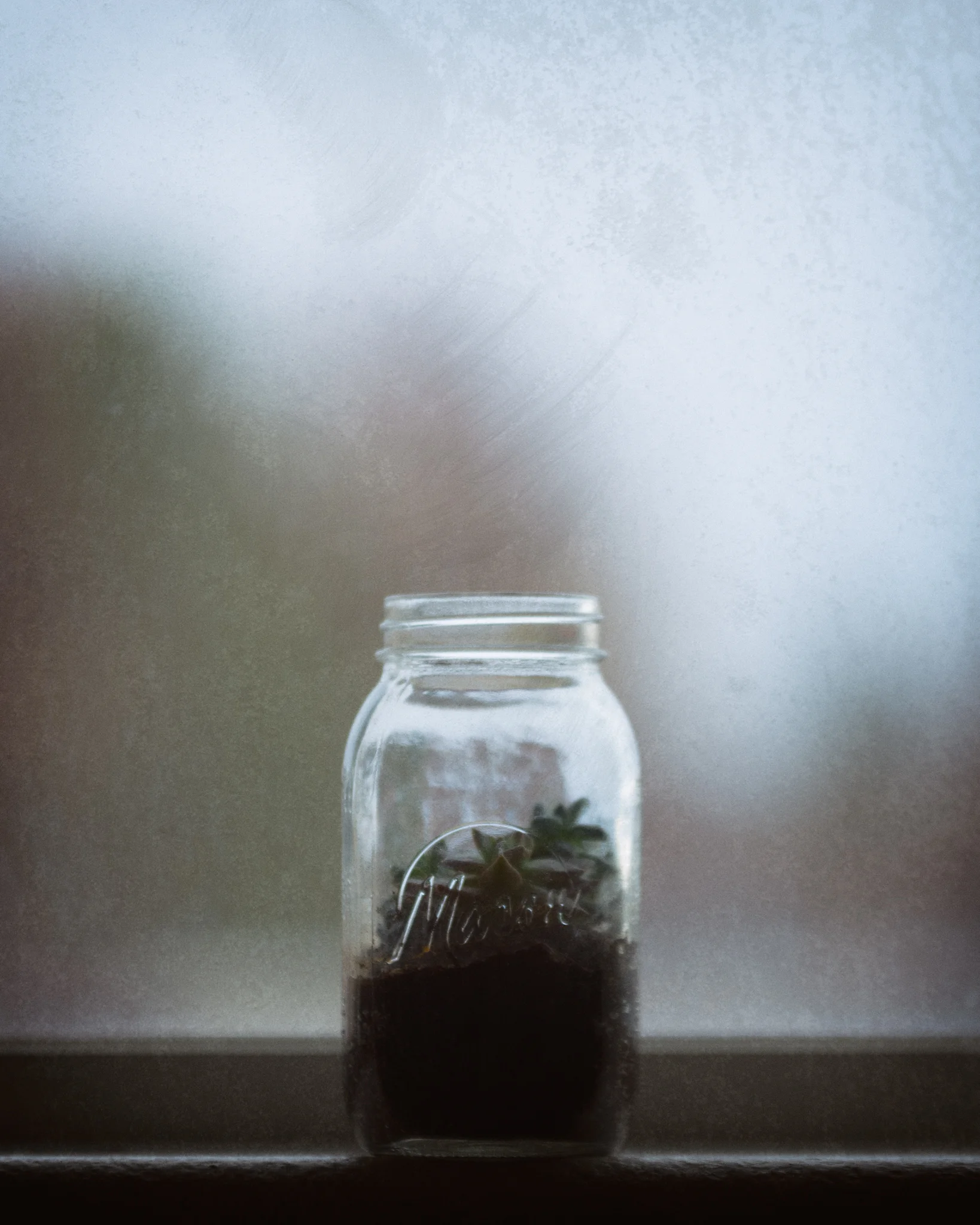 DSC_1323-Edit.jpg