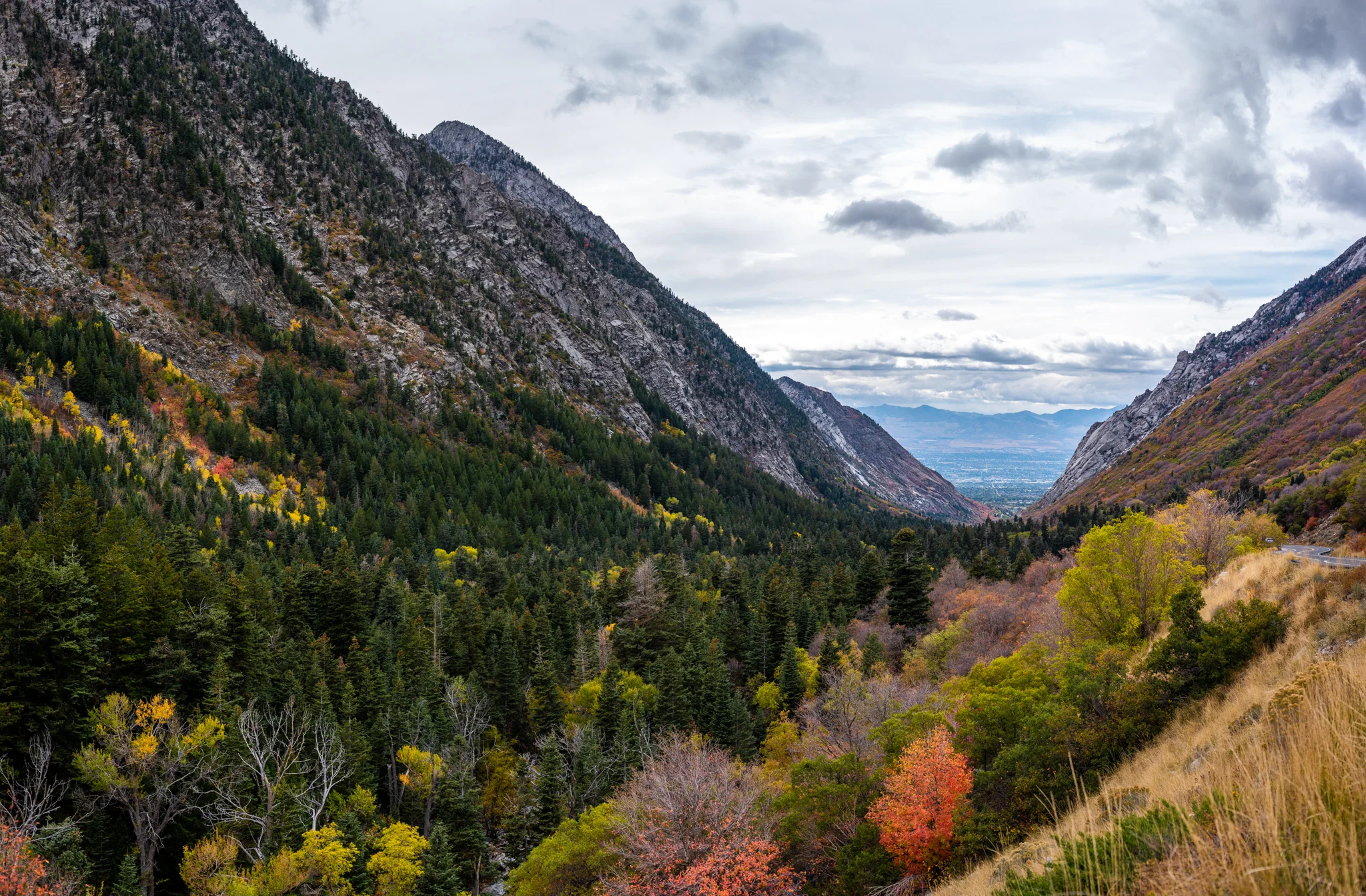 DSC_0379-Pano.jpg
