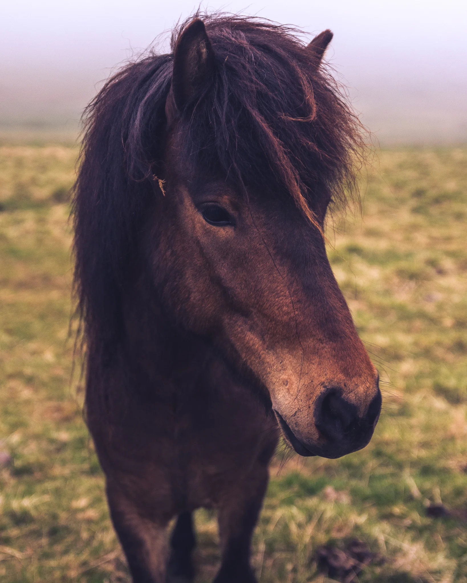 IcelandEdited_394.jpg