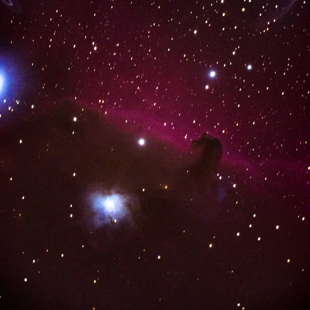 Horsehead.jpg