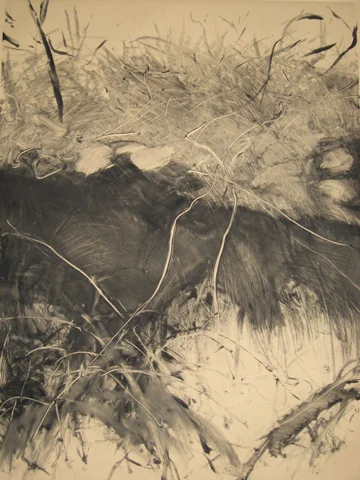 Dunes, Grand Saline, St. Barts: Part II of a Triptych