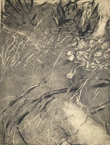 Dunes, Grand Saline, St. Barts: Part III of a Triptych