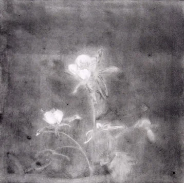 Columbine